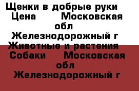 Щенки в добрые руки. › Цена ­ 1 - Московская обл., Железнодорожный г. Животные и растения » Собаки   . Московская обл.,Железнодорожный г.